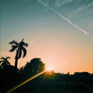 Meet your Posher, Lexi